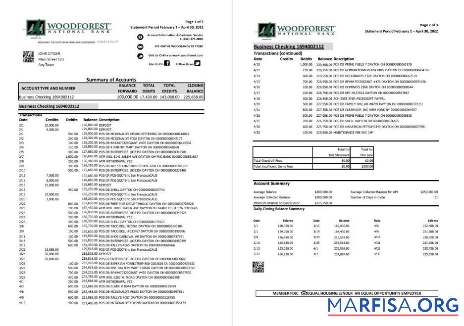 Realistic USA Woodforest bank statement excel 3 pages real example
